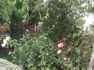 Picture 081