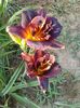 20150707_081009