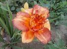 20150708_161409