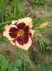 20150714_083401