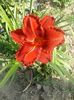 20150714_101514