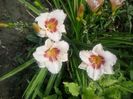 20150715_153215