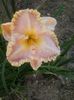 20150715_190440