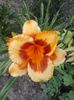 20150716_193322
