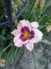 20150716_193345
