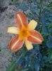 20150716_193521