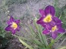 20150716_193733
