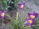20150716_193736