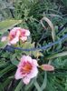 20150716_193818