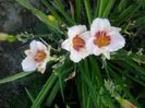 20150716_193835