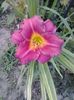20150716_193904