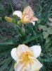 20150716_193913