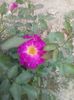 20150715_153107