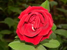 DSCN8651