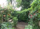 100_4733 - Copy