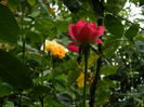 DSCN8688
