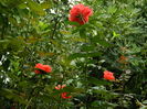 DSCN8696