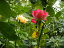 DSCN8718
