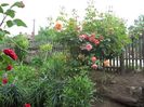 100_4726 - Copy