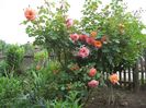 100_4727 - Copy