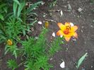 100_4728 - Copy