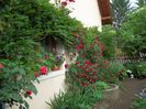 100_4730 - Copy