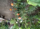 100_4743 - Copy