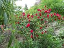 100_4747 - Copy