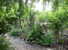 100_4750 - Copy