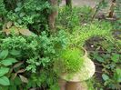 100_4756 - Copy