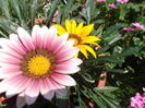 DSCF1621