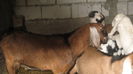 Picture 5884