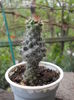 DSCN9972