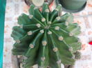 DSCN9928