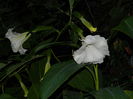 DSCN9047