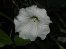 DSCN9049