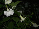 DSCN9056