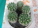 DSCN9936