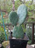 DSCN9943
