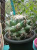 DSCN9947