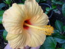 SAM_0541