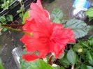 SAM_0537