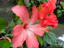 SAM_0536