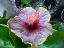 SAM_0531