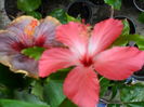 SAM_0525
