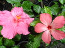 SAM_0524