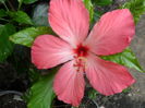 SAM_0522