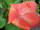 SAM_0518