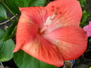 SAM_0515