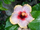SAM_0503